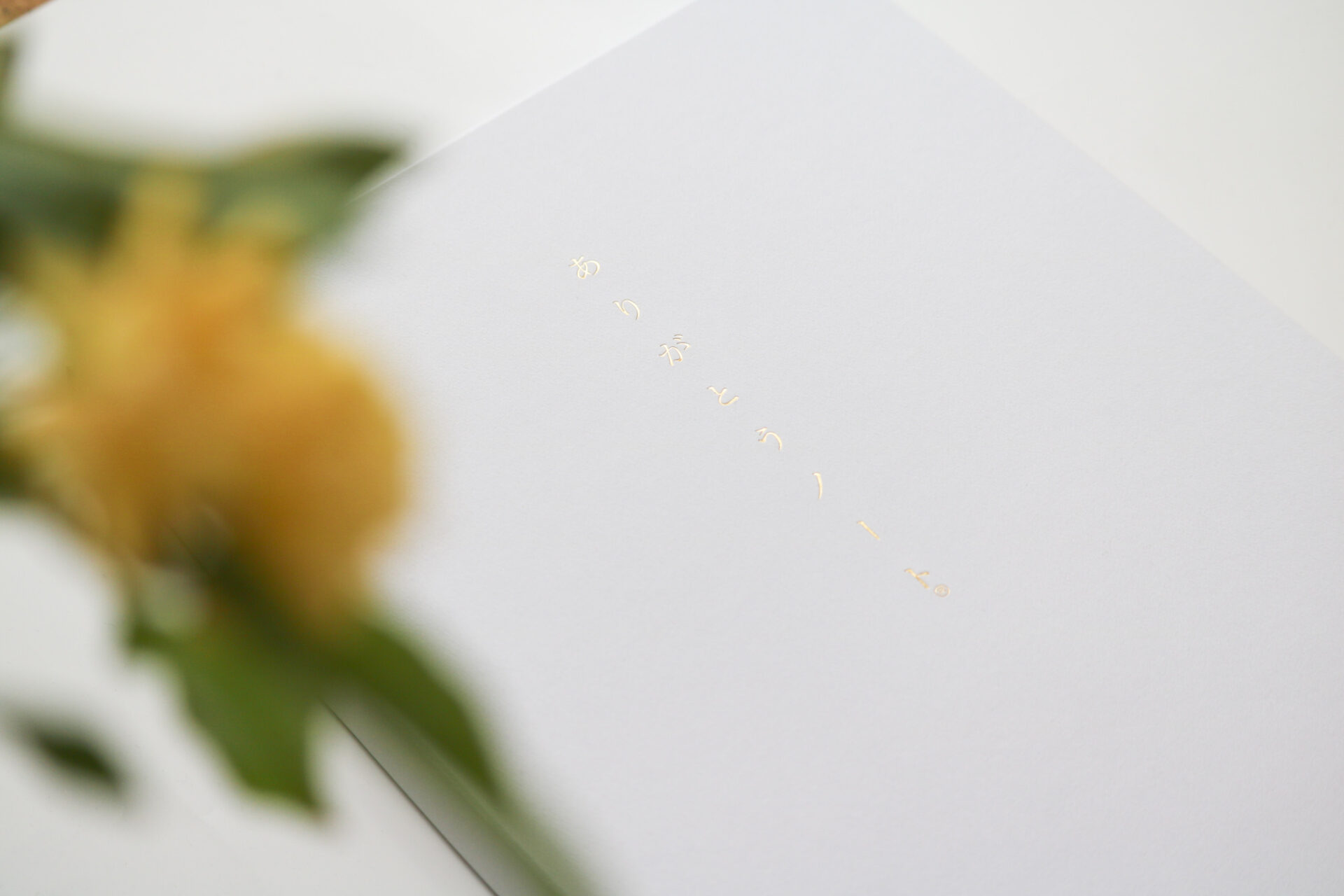 写真。箱の表面。金色の箔押しで「ありがとうノート®︎」と書かれているが、光の関係で見えづらい。